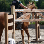 beeld-trainingstips