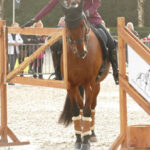 trainingstips-poort