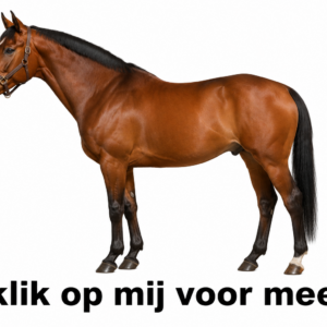 Donatie